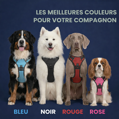 HARNAIS ANTI-TRACTION Umbelpet™