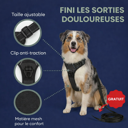 HARNAIS ANTI-TRACTION Umbelpet™