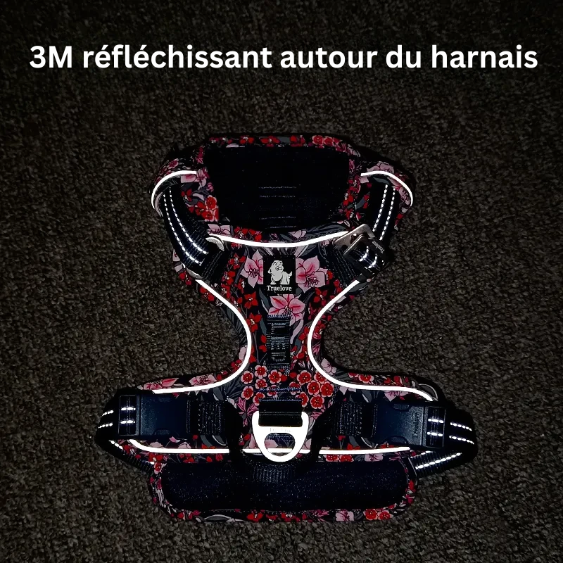 dog-harness