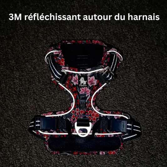 dog-harness