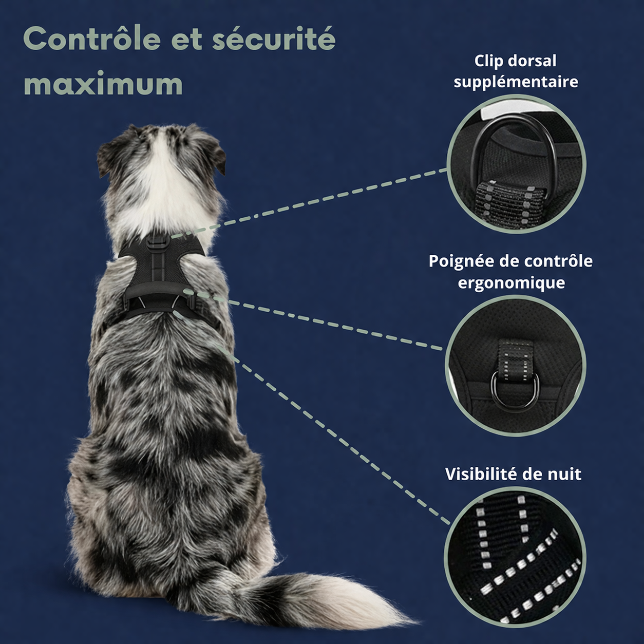 HARNAIS ANTI-TRACTION Umbelpet™