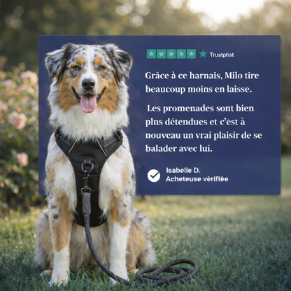 HARNAIS ANTI-TRACTION Umbelpet™