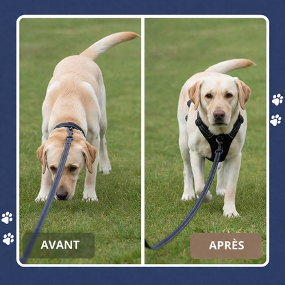 HARNAIS ANTI-TRACTION Umbelpet™