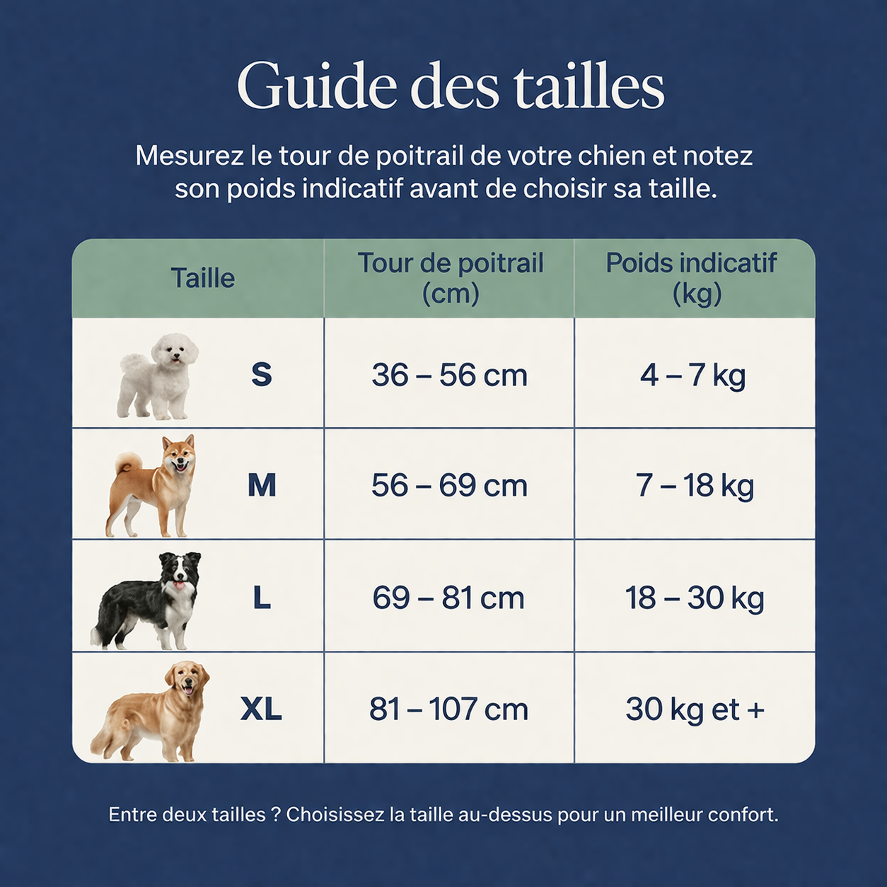 HARNAIS ANTI-TRACTION Umbelpet™